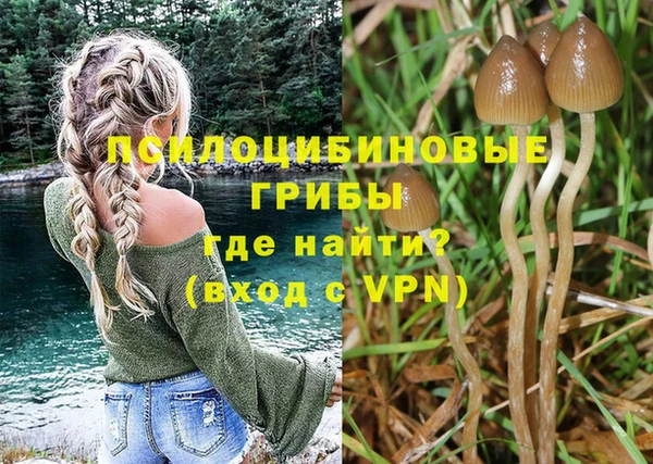 мдма Бородино