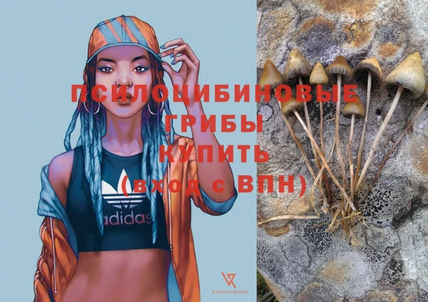 мдма Бородино