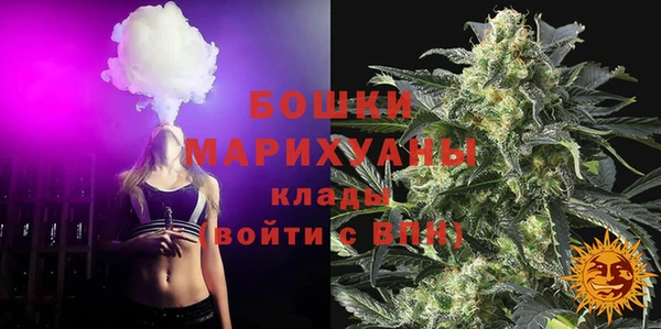 дурь Арсеньев