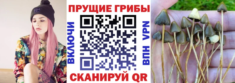 Псилоцибиновые грибы мухоморы  Печора 